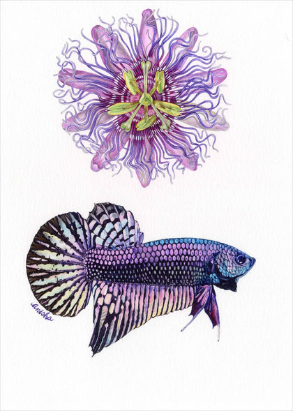 Passion Flower & Alien Copper Pink Betta, Anisha Koshy, Internal - Artisera