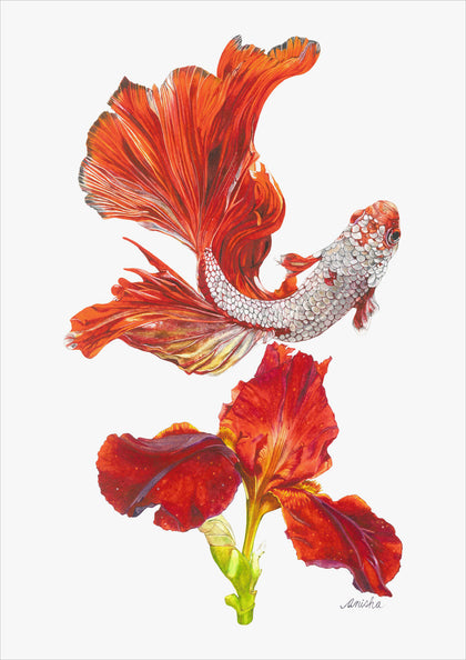 Siamese Fighting Fish with Bearded Iris, Anisha Koshy, Internal - Artisera