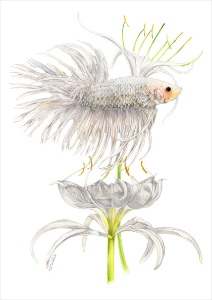 Crowntail Betta with Spider Lily In White, Anisha Koshy, Internal - Artisera