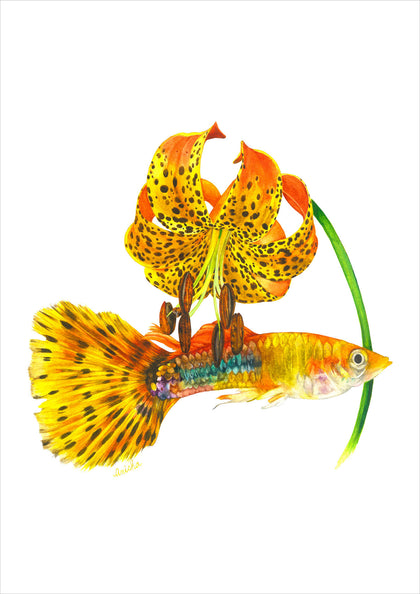 Tiger Lily with Guppy Fish, Anisha Koshy, Internal - Artisera