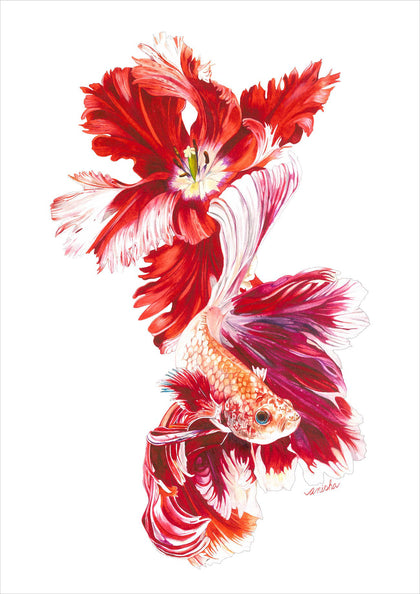 Parrot Tulip with Fighting Fish in Red & White, Anisha Koshy, Internal - Artisera