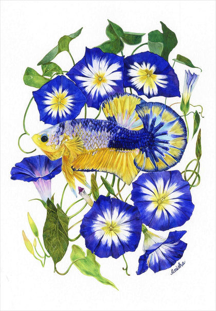 Royal Ensign Morning Glory with Yellow Fancy Blue Band Betta Fish, Anisha Koshy, Internal - Artisera