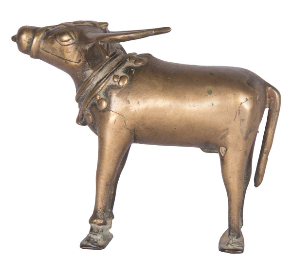 Bull Wearing Bell – Artisera